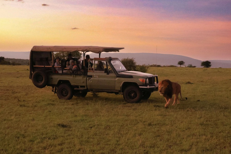 Día 5 — Masai Mara: safari en el escenario más mítico de África