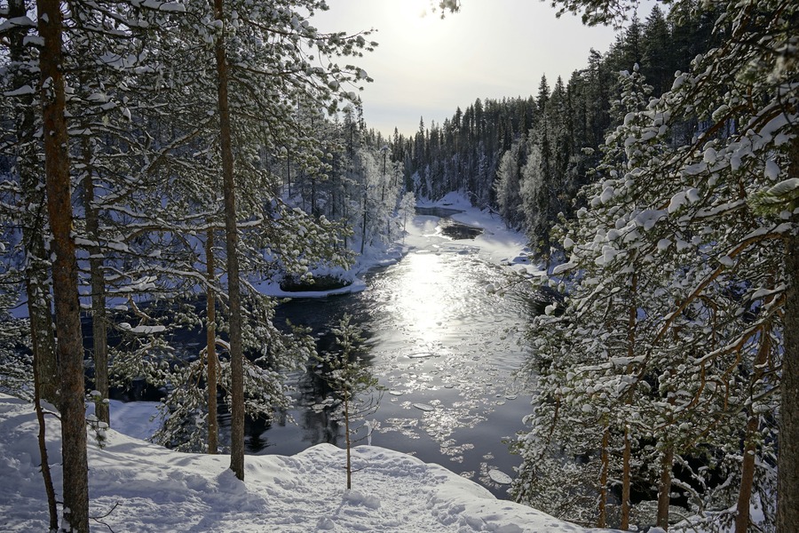 Día 8 — Kuusamo: Parque Nacional de Oulanka y la Ruta del Oso