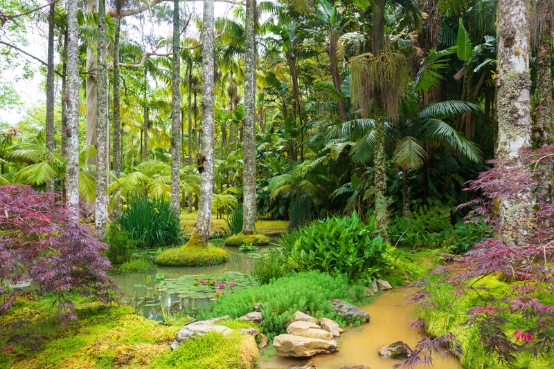 Azores: paisajes para recordar
