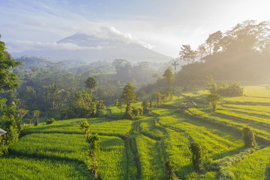 Día 7 — Bali