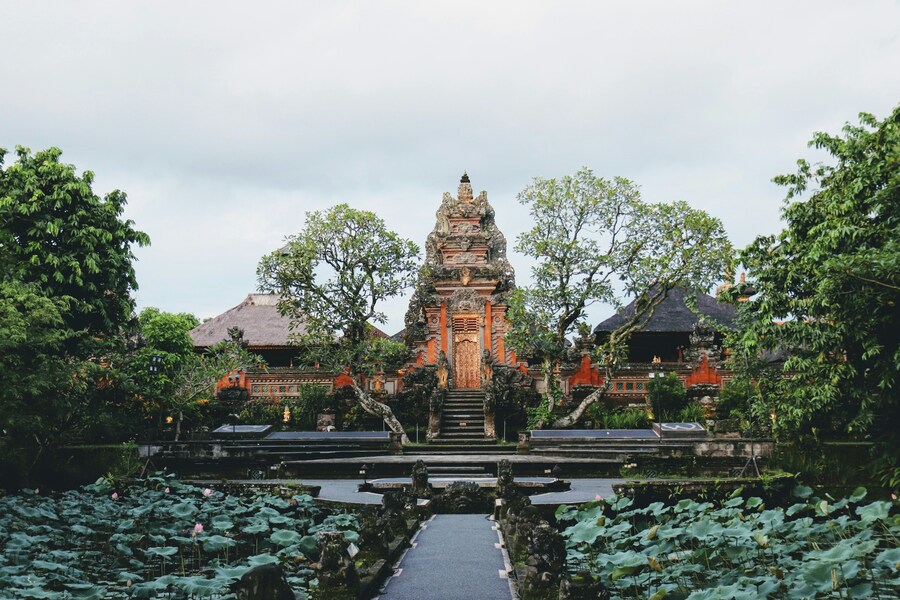 Día 4 — Ubud / Lovina
