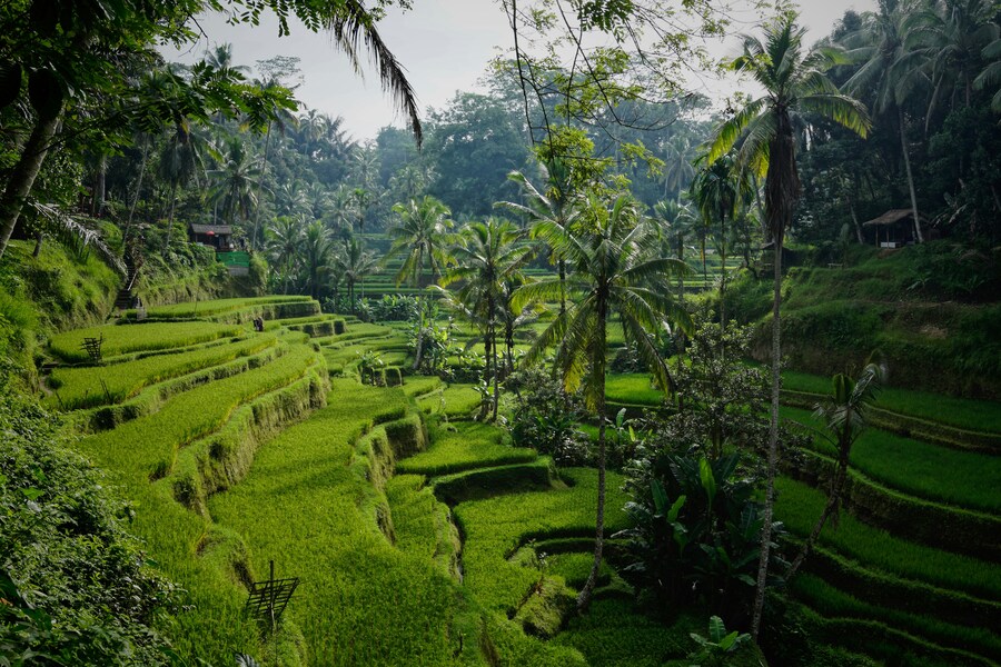 Bali Imprescindible