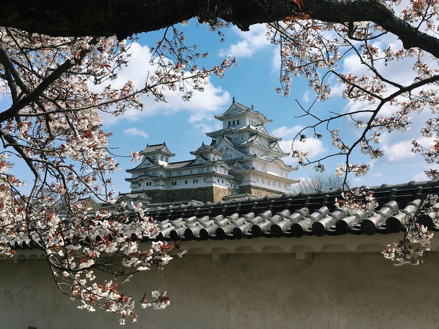 Día 9 — Himeji / Osaka