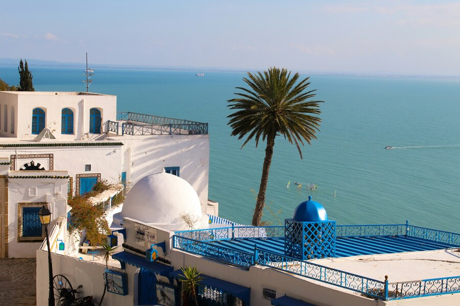 Kairouan – Túnez – Cartago – Sidi Bou Said – Hammamet