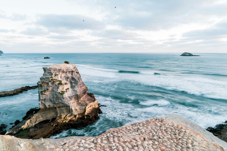 Nueva Zelanda: Tierra Maorí