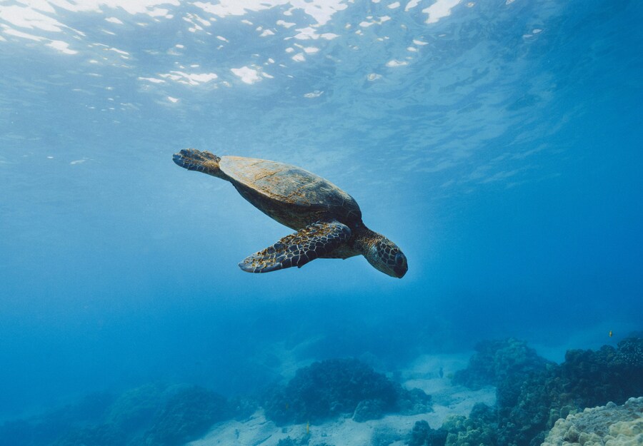 Día 10 — Galápagos: naturaleza salvaje