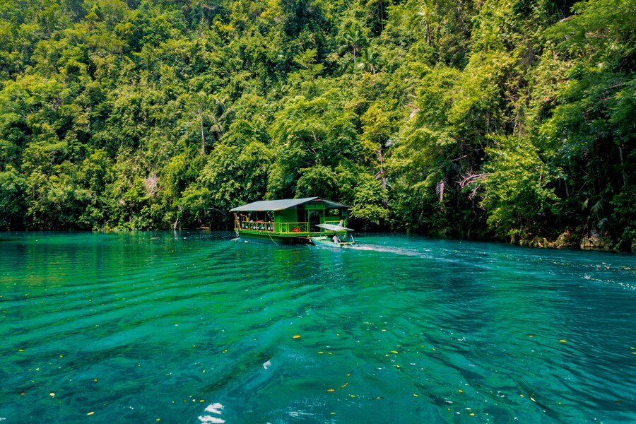 Día 8 — Bohol: isla de Pamilacan