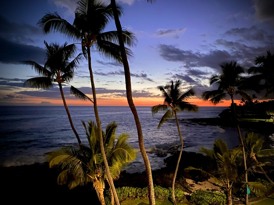 Kona-España