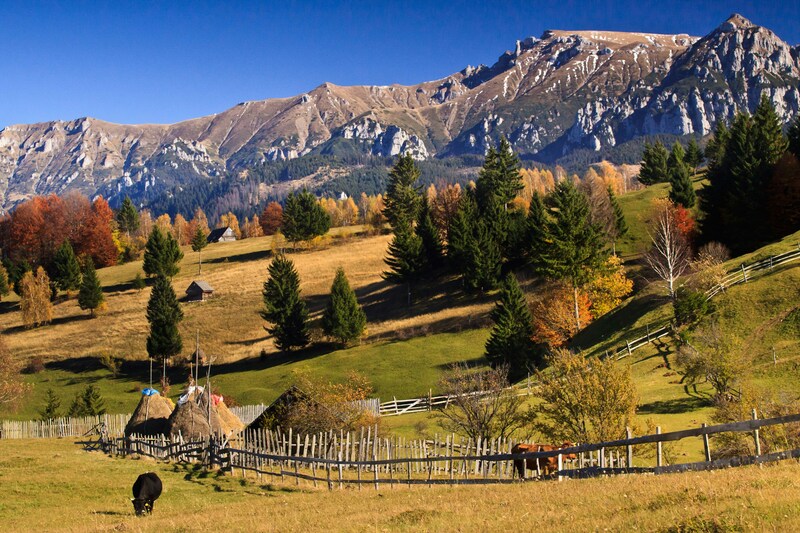 REGIÓN DE BUCOVINA - MONASTERIOS DE VORONET Y AGAPIA - REGIÓN DE PIATRA NEAMT