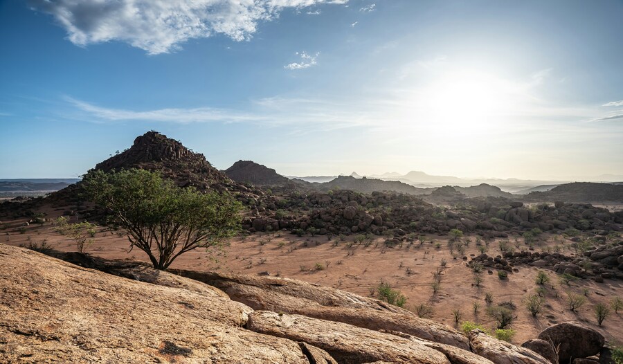 Día 5 — Etosha – Damaraland (Twyfelfontein)