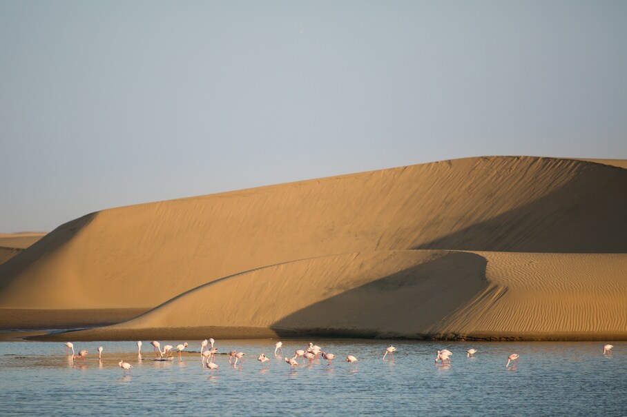 Día 8 — Namibia – Regreso