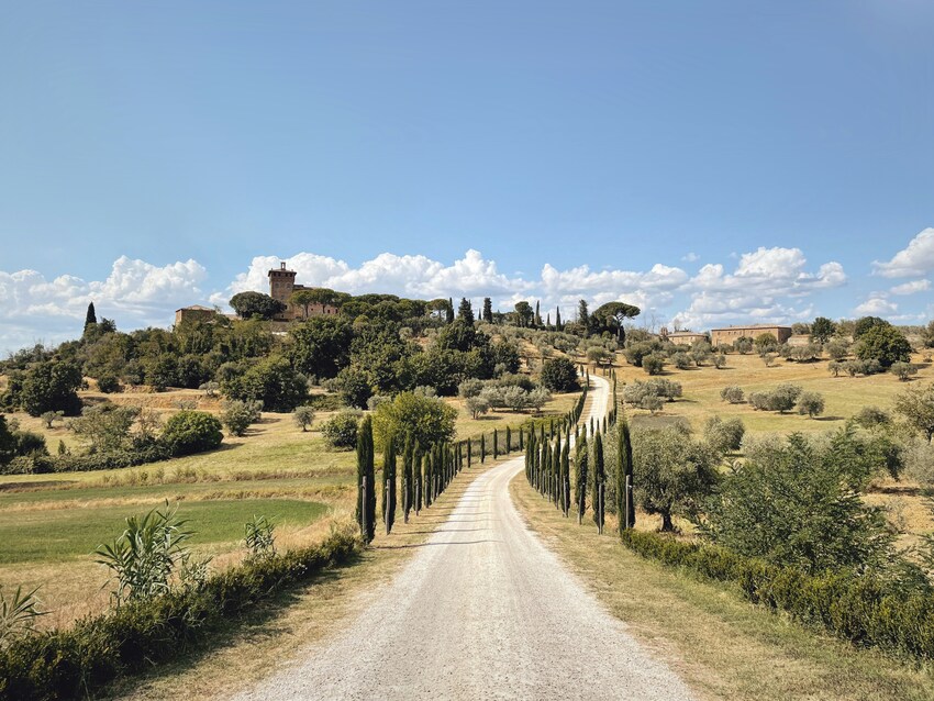 Montepulciano / Valle del Orcia / Siena (145 km)