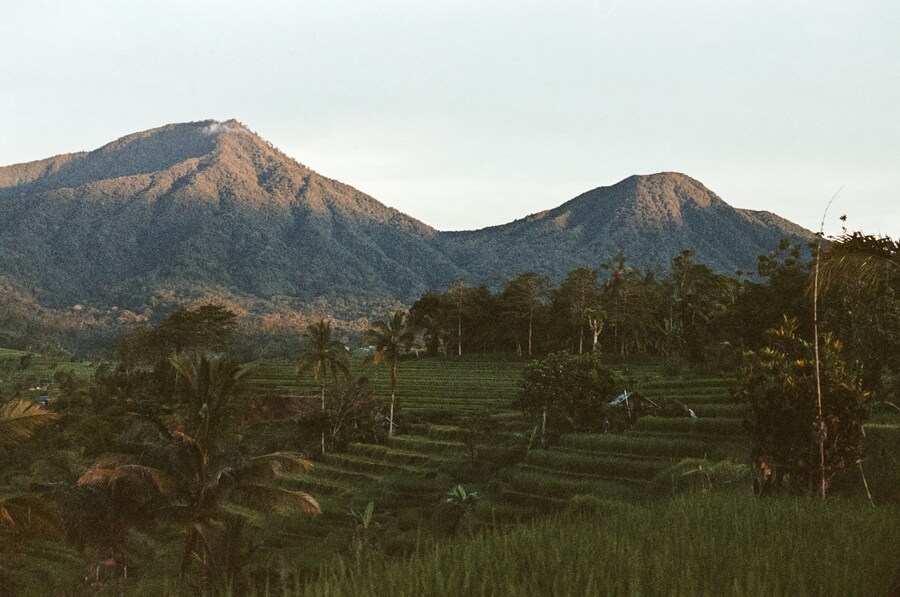 Día 5 — Antigua