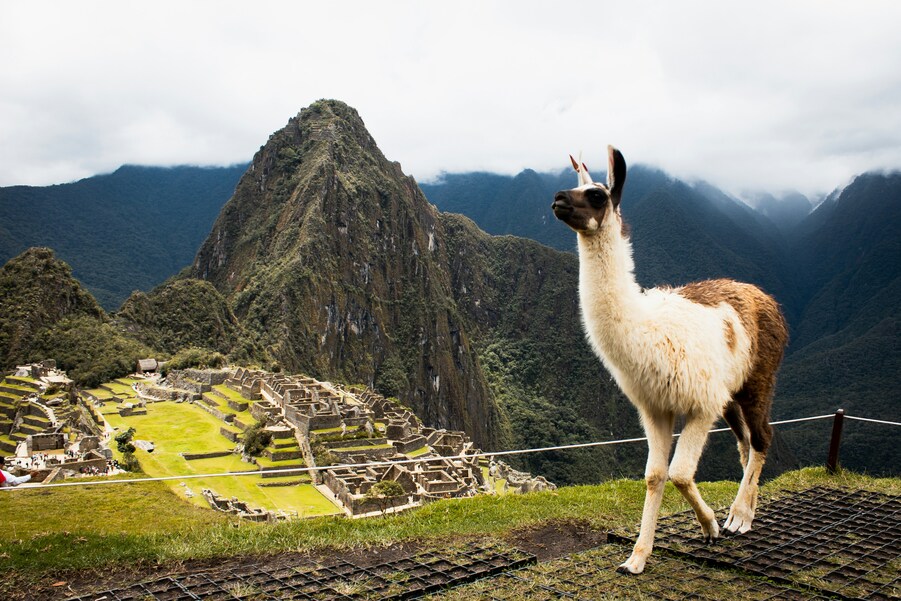 Día 7 — Valle Sagrado – Machu Picchu