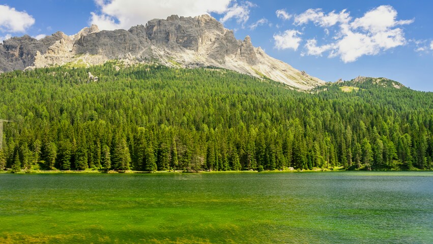 Cortina-Lago Misurina-Lago Dobbiaco-Cortina