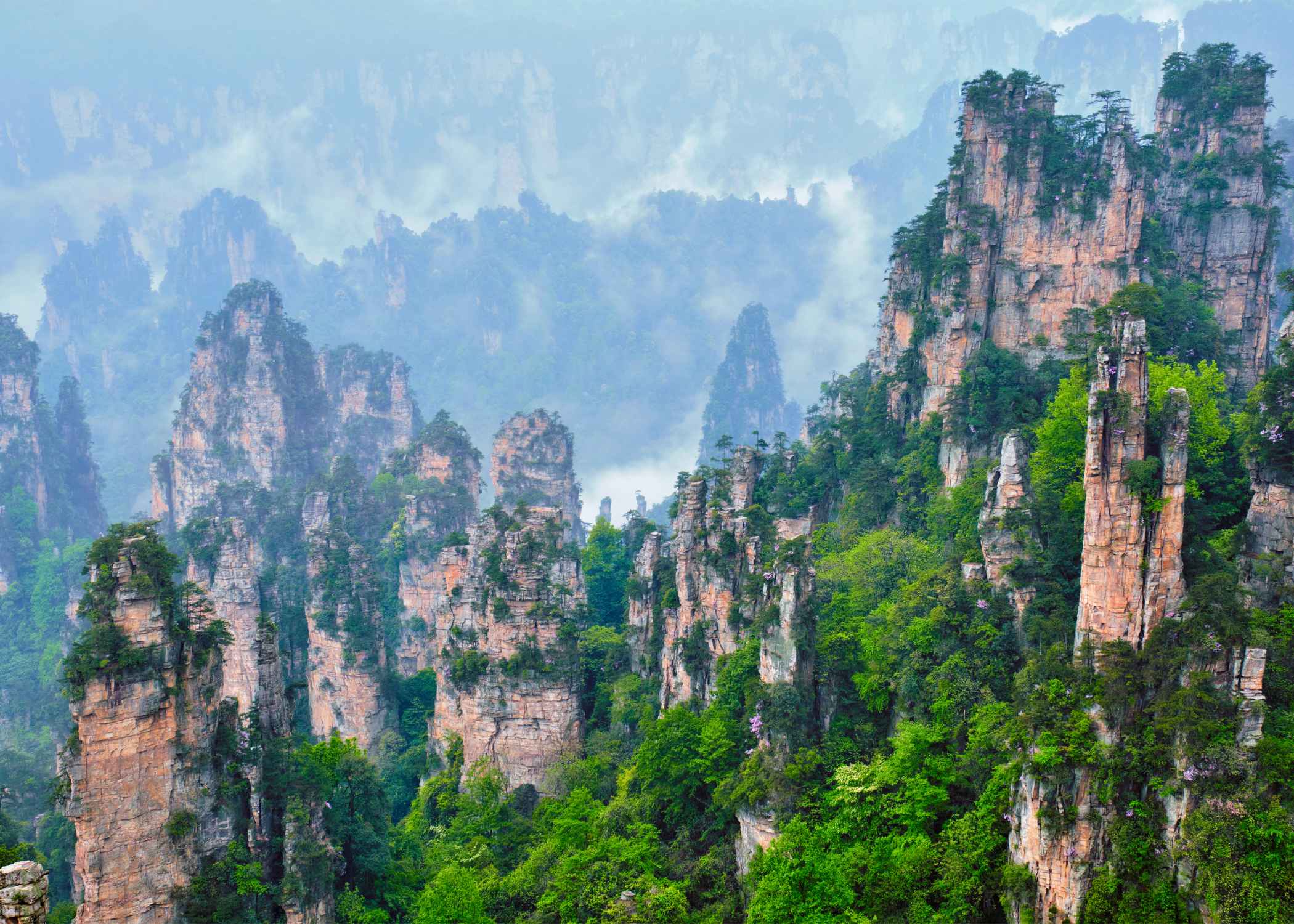 China Avatar