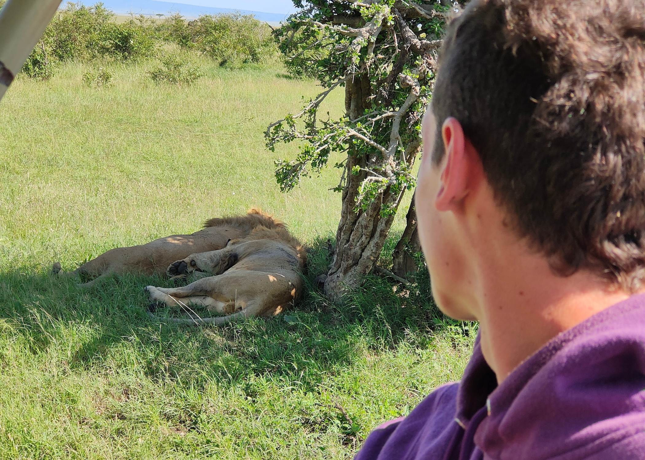 Tanzania Safari y Zanzibar