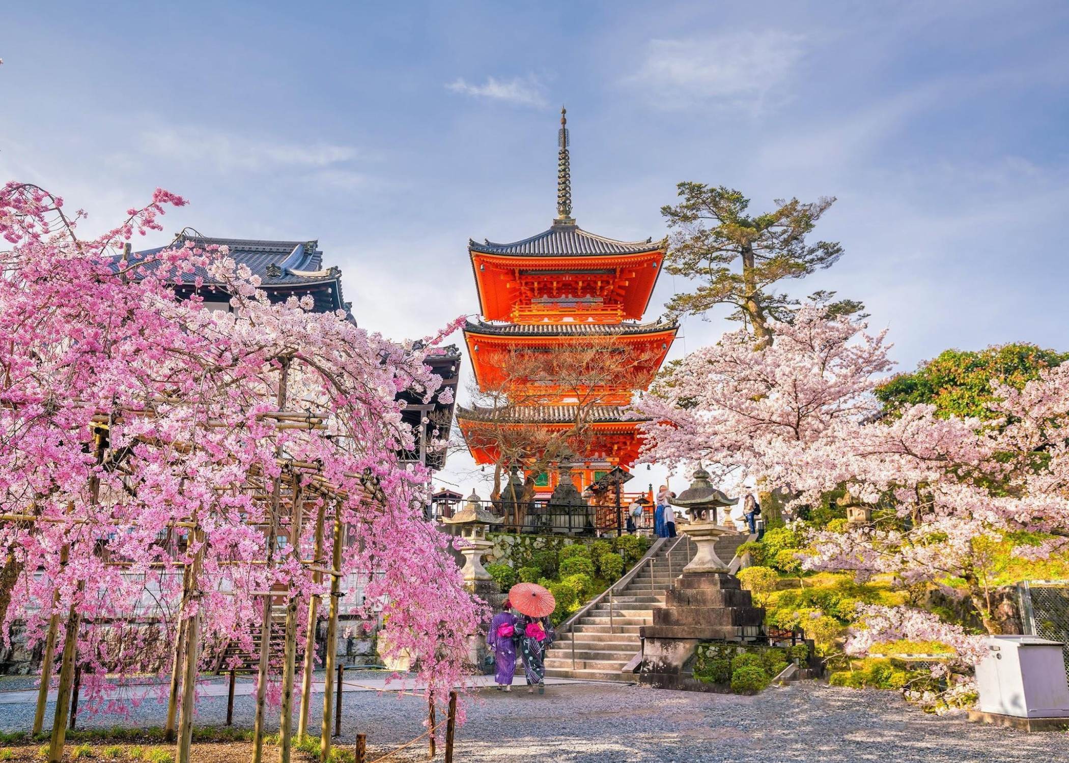 Japón Samurai