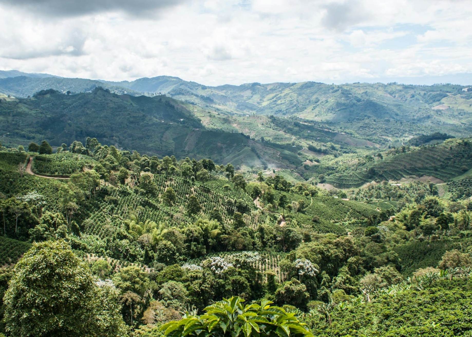 Rumbo al Paisaje Cultural Cafetero– Bienvenidos a la tierra del café