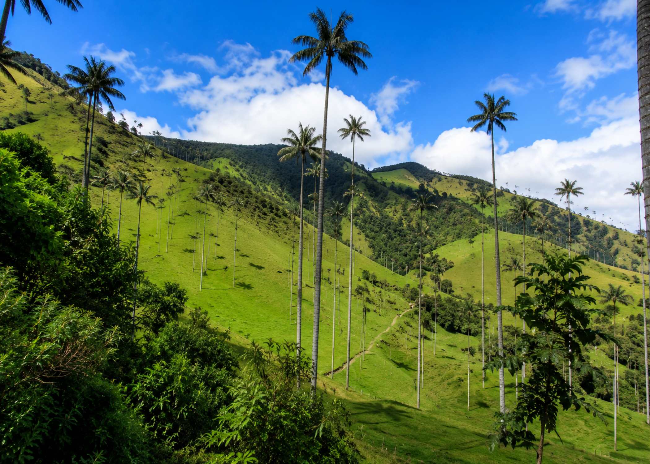 Colombia con Encanto