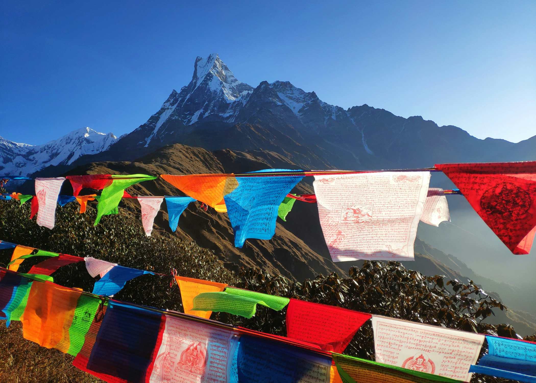 Trekking al Mardi Himal (4,450 m)