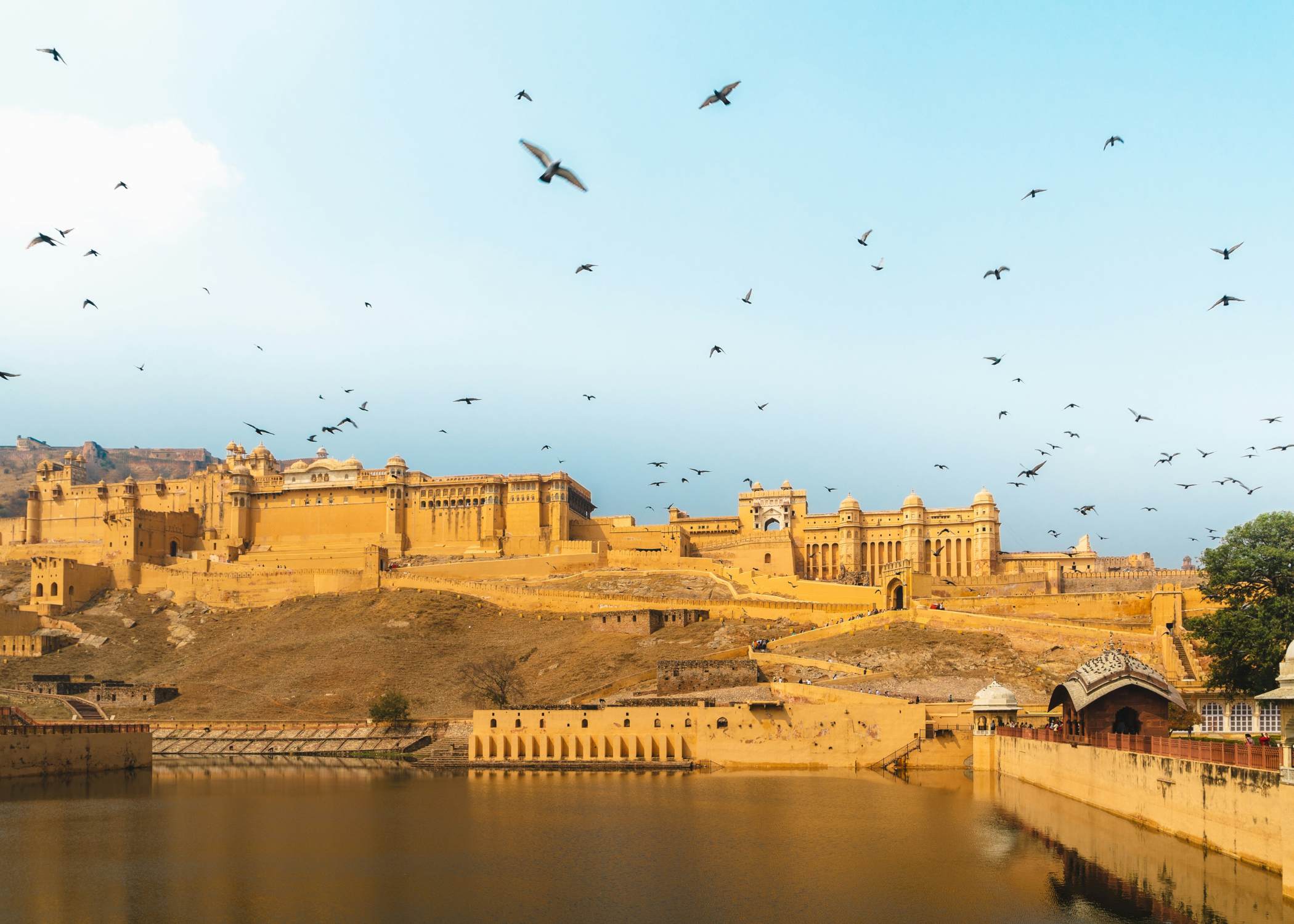Descubre Jaipur - La Ciudad Rosa