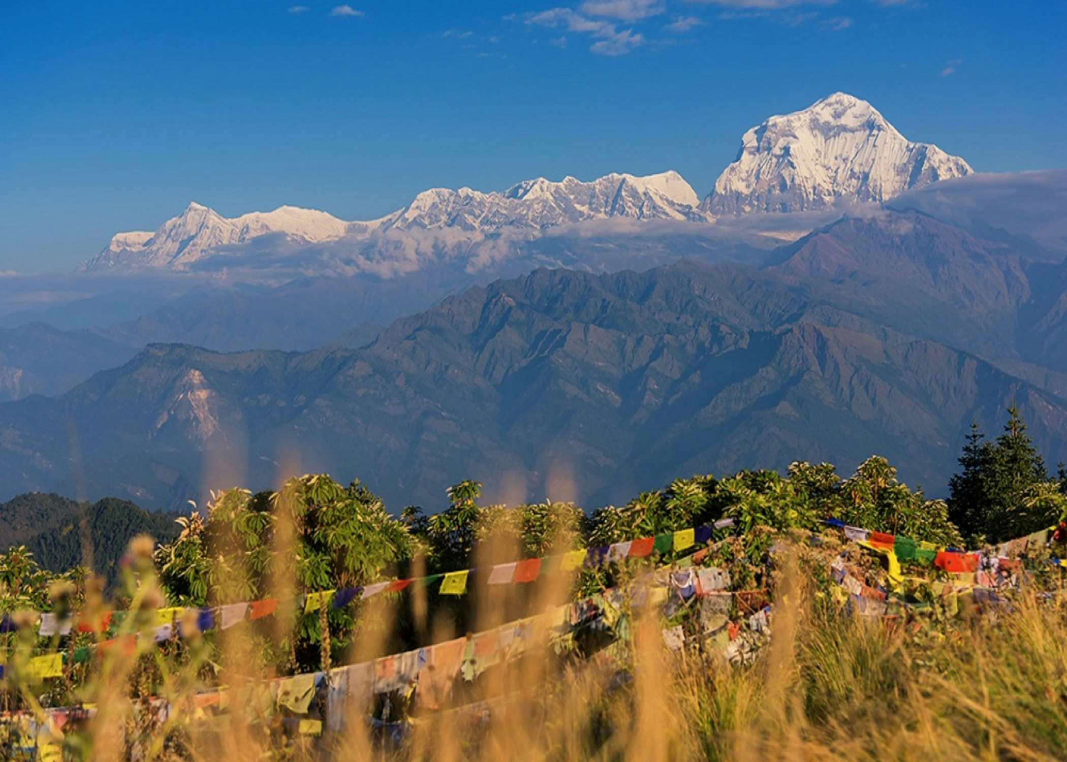 Nepal al completo con Trekking a Poon Hill (3.210 m)