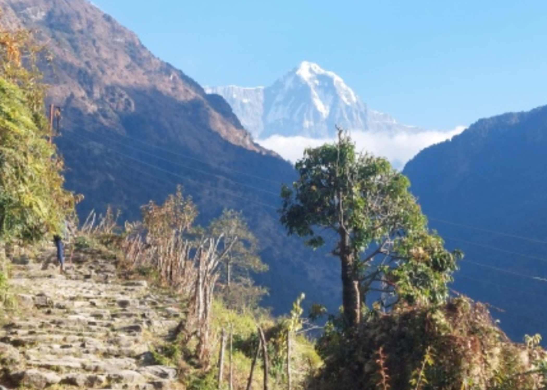 Trekking de Tadapani a Aguas Termales (4-5 h)