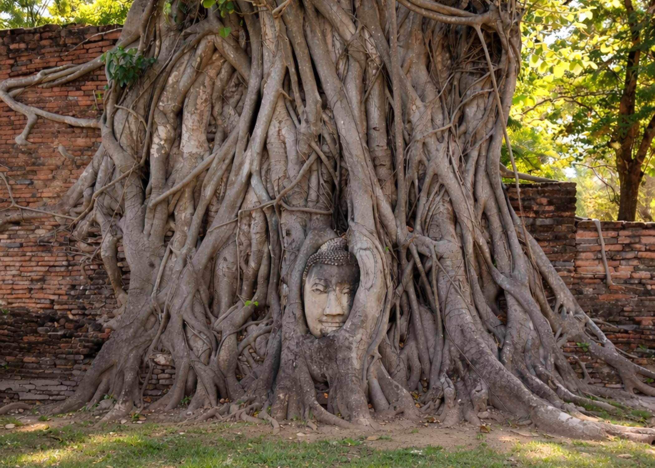 Ruta hacia Ayutthaya y Phitsanulok  - Tras el legado del antiguo Siam