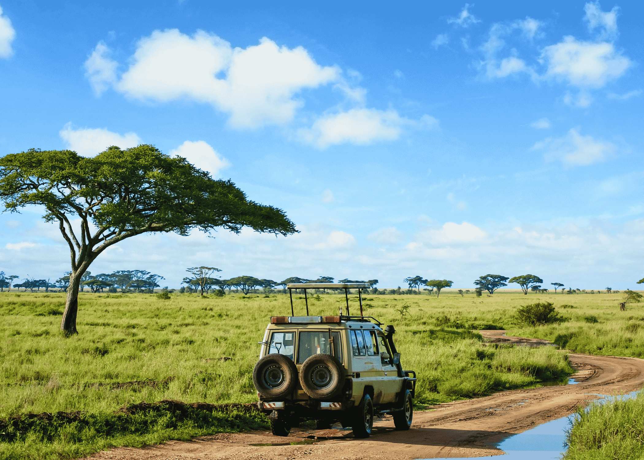 De Masai Mara a Serengeti: atravesando la gran sabana africana