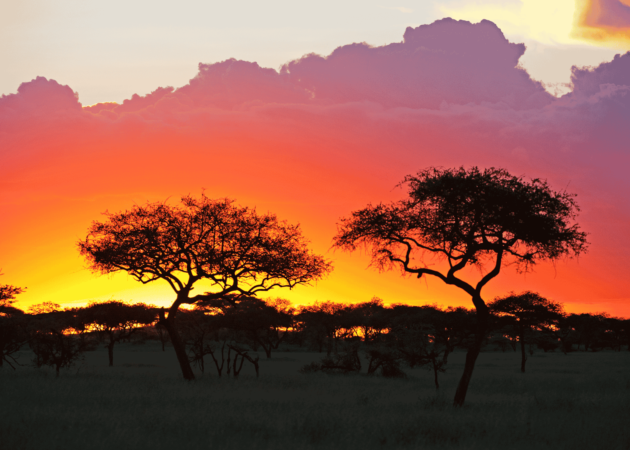 Kenia y Tanzania