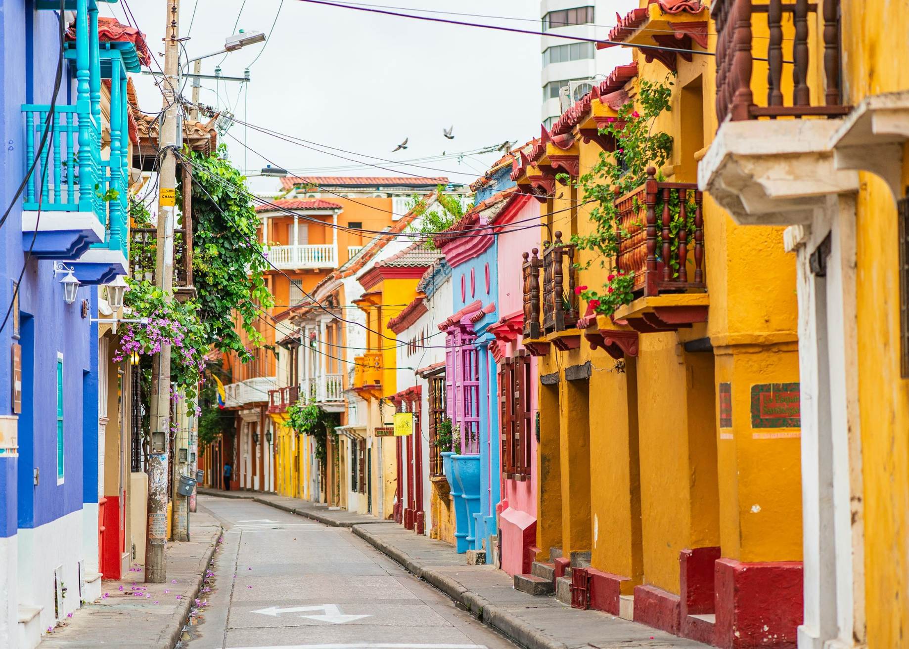 Visita Cartagena de Indias
