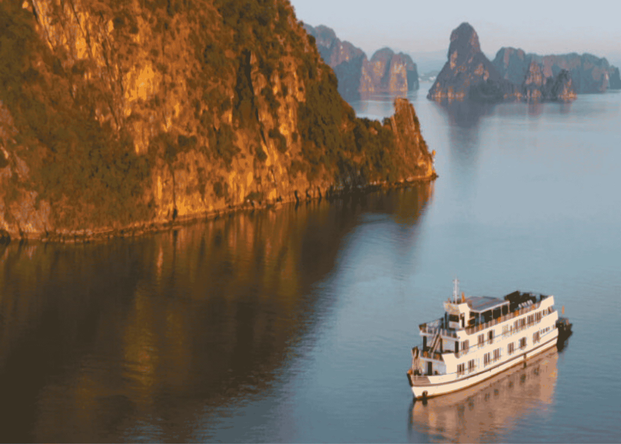 Lily Cruise o similar