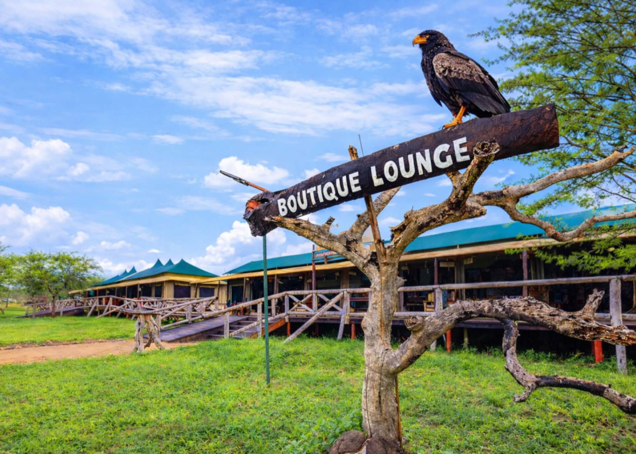 Serengeti Tanzania Bush Camp o similar