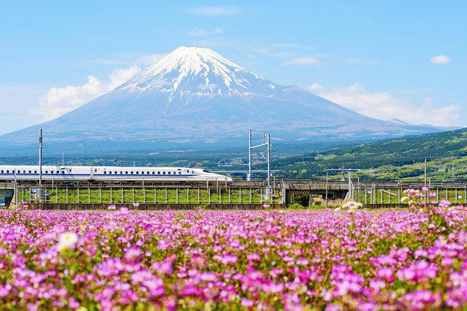 TOKIO - KIOTO - NARA - KIOTO TREN BALA