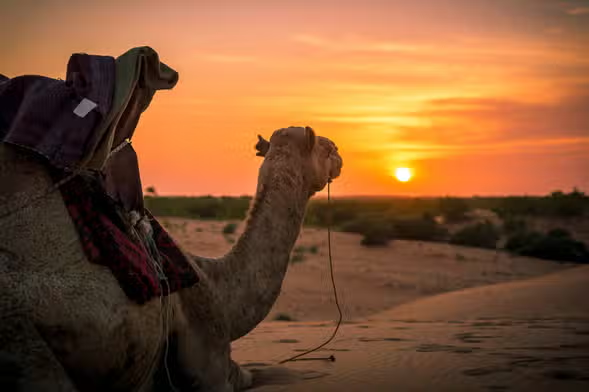 SENEGAL ESENCIAL PUENTE DE DICIEMBRE 2026