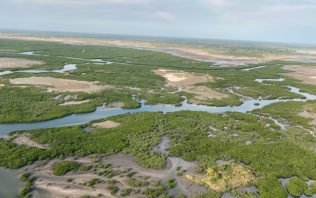 Día 5 - DESIERTO LOMPOUL > SALOUM · MP